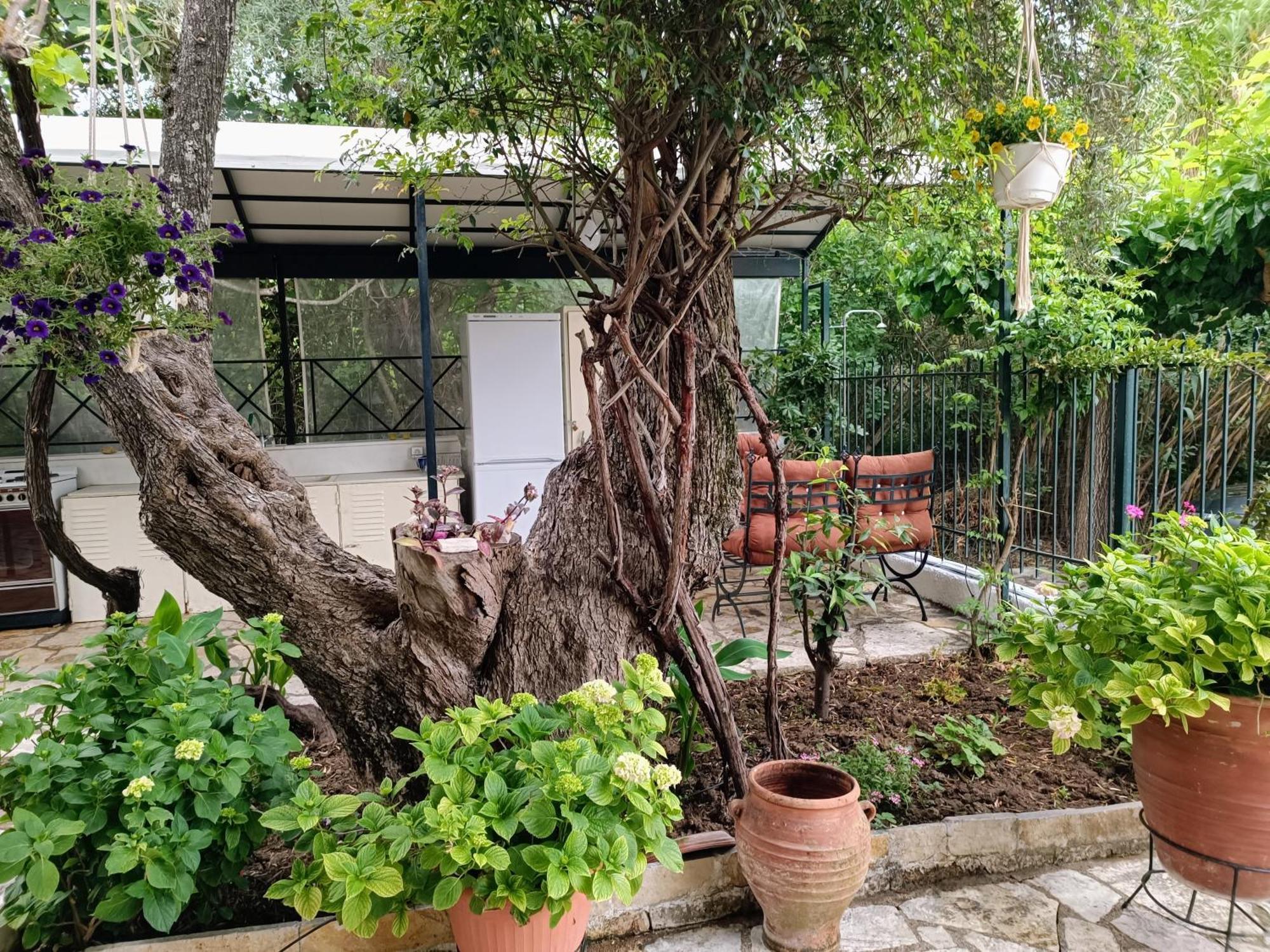 Apartamento Casa Trizoni Nikiana Exterior foto